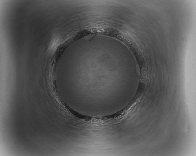 X0000088691297200705311149