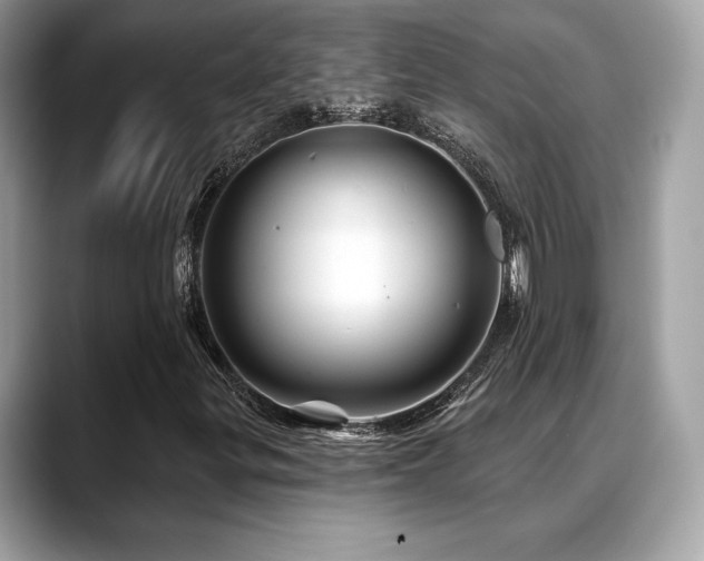X0000088691299200705311149