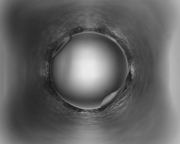 X0000088691301200705311149