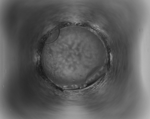 X0000088691302200705311149