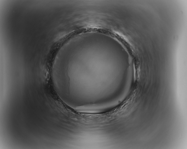 X0000088691303200705311149