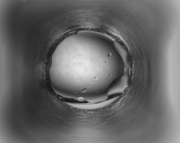 X0000088691304200705311149