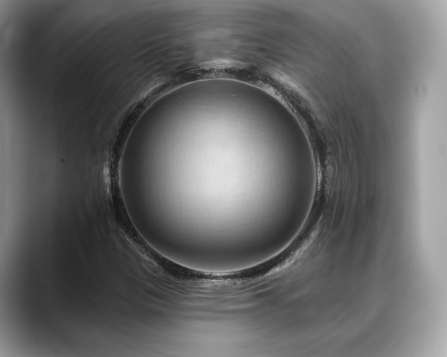 X0000088691305200705311149