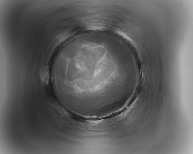 X0000088691306200705311149
