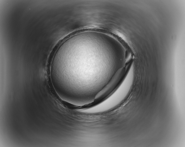 X0000088691308200705311149