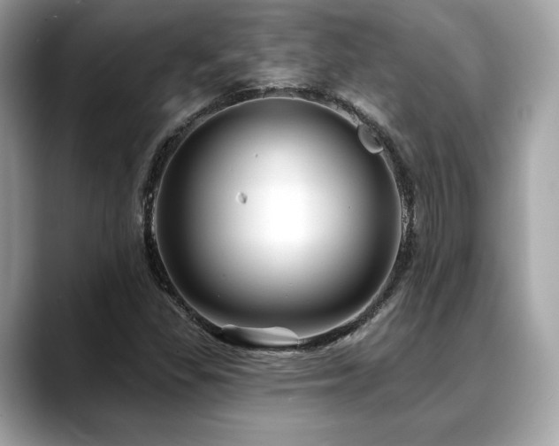 X0000088691309200705311149
