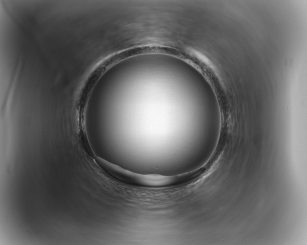 X0000088691310200705311149