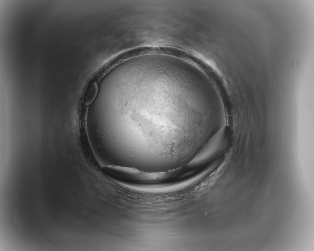 X0000088691311200705311149