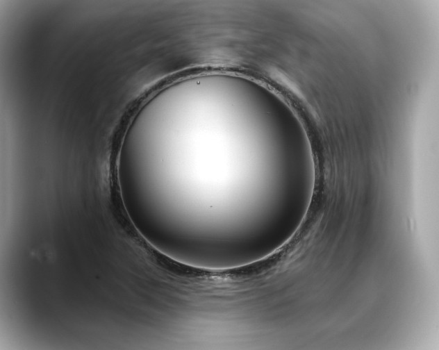X0000088691315200705311149