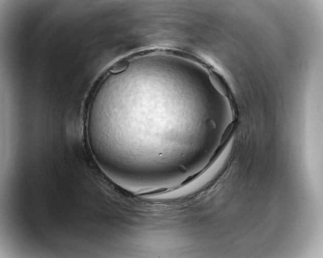 X0000088691316200705311149