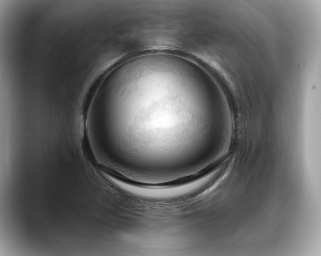 X0000088691317200705311149
