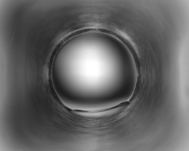 X0000088691318200705311149