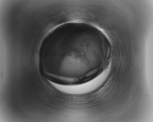 X0000088691319200705311149