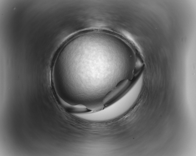 X0000088691320200705311149