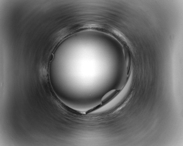 X0000088691321200705311149