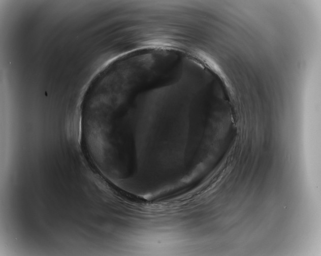 X0000088691323200705311149
