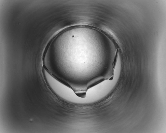 X0000088691324200705311149