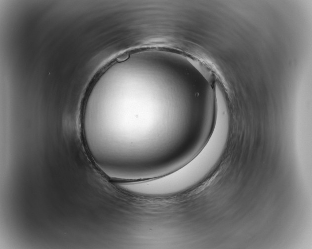 X0000088691328200705311149