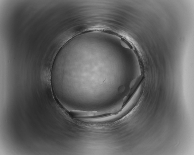 X0000088691329200705311149