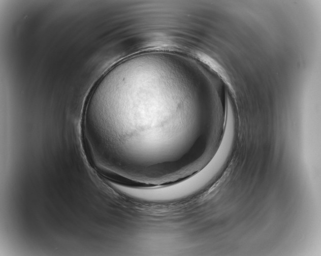 X0000088691330200705311149