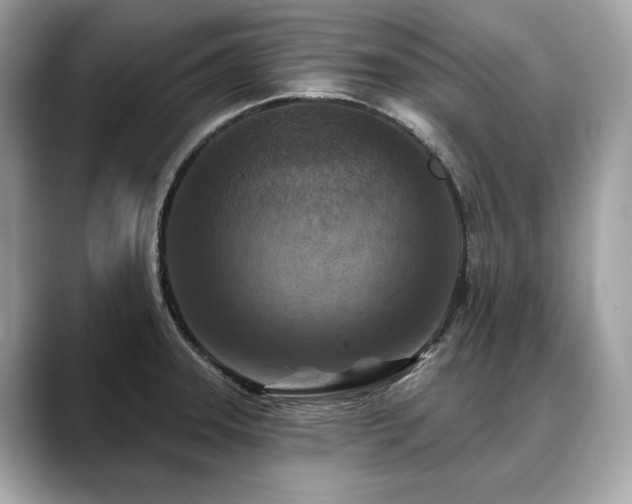 X0000088691331200705311149