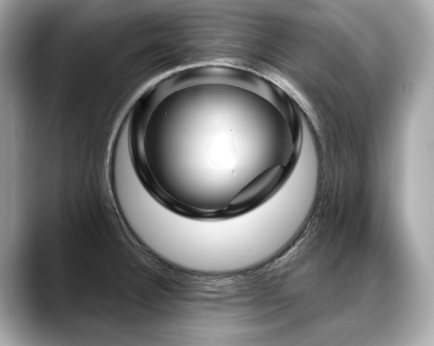 X0000088691332200705311149