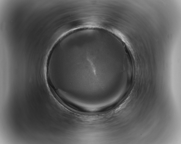 X0000088691334200705311149