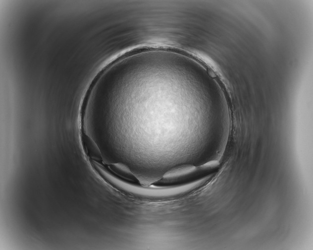 X0000088691335200705311149