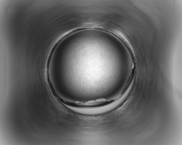 X0000088691336200705311149