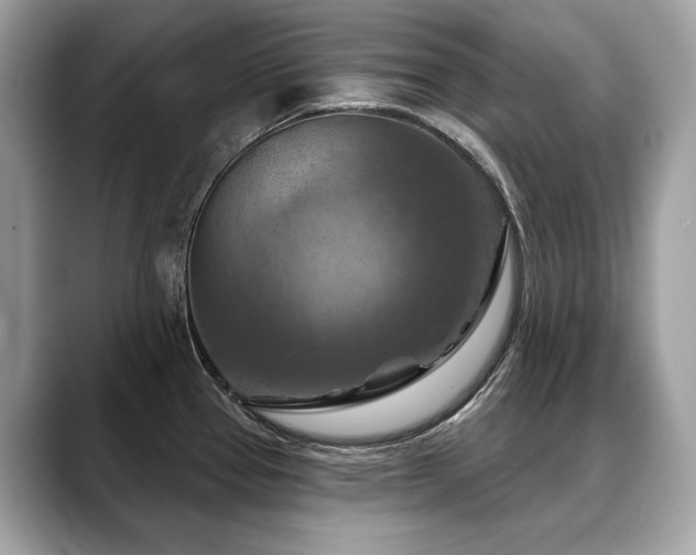 X0000088691337200705311149