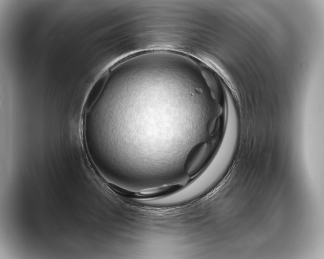 X0000088691340200705311149