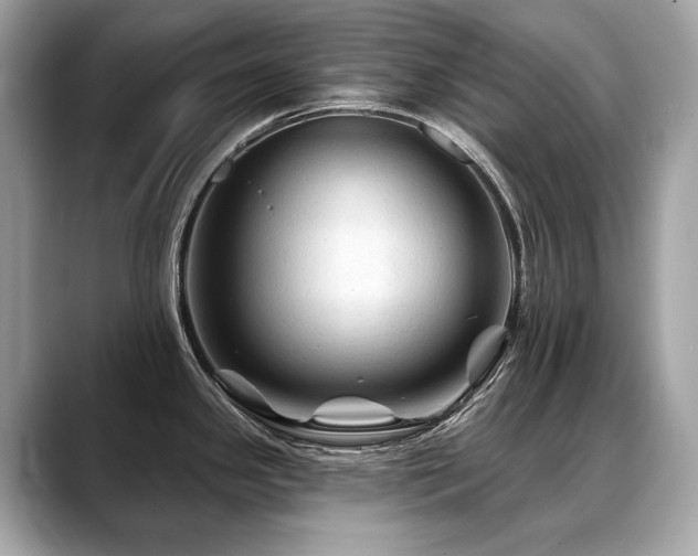 X0000088691341200705311149