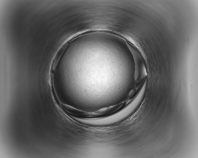 X0000088691342200705311149