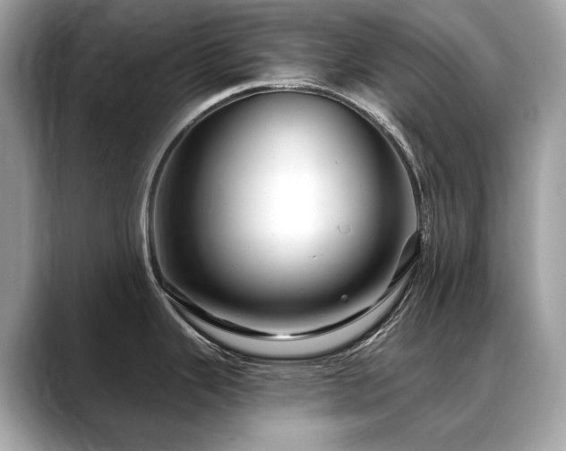 X0000088691343200705311149