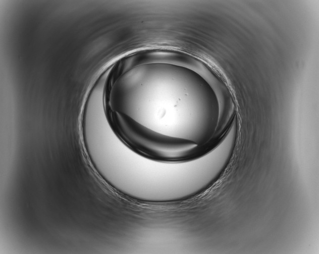 X0000088691344200705311150