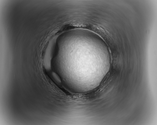 X0000088691345200705311149