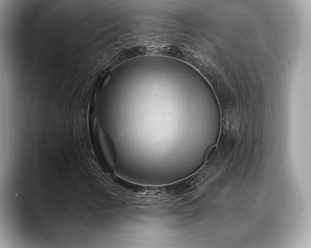 X0000088691346200705311149