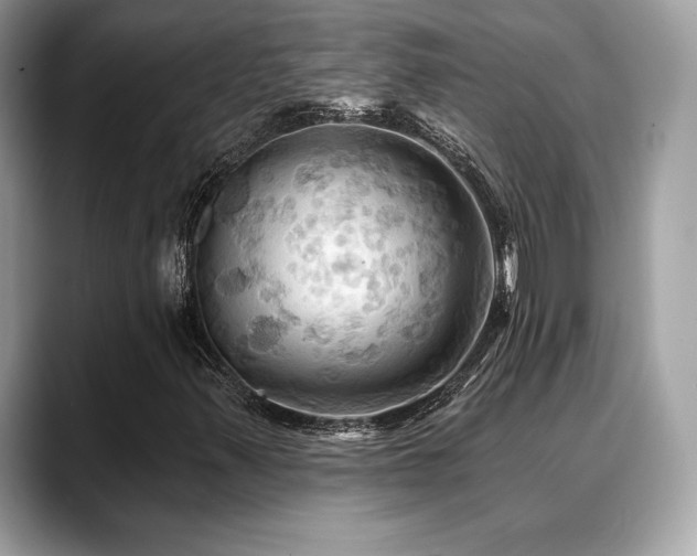 X0000088691347200705311149