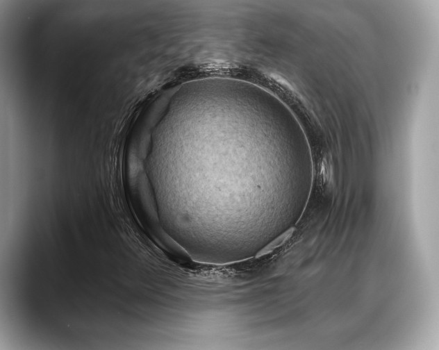 X0000088691348200705311149