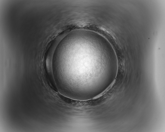 X0000088691349200705311149