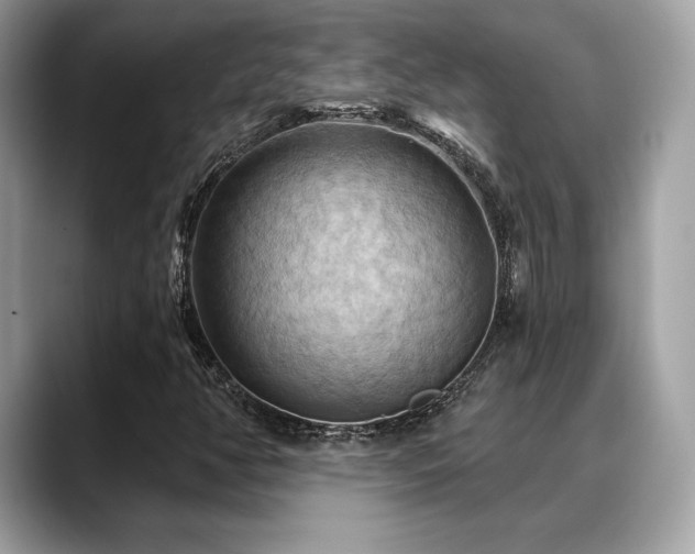X0000088691350200705311149