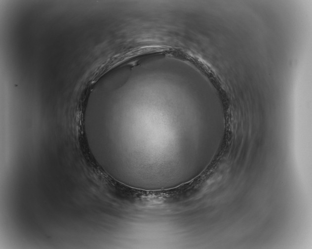 X0000088691351200705311149