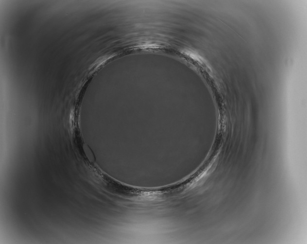 X0000088691353200705311149