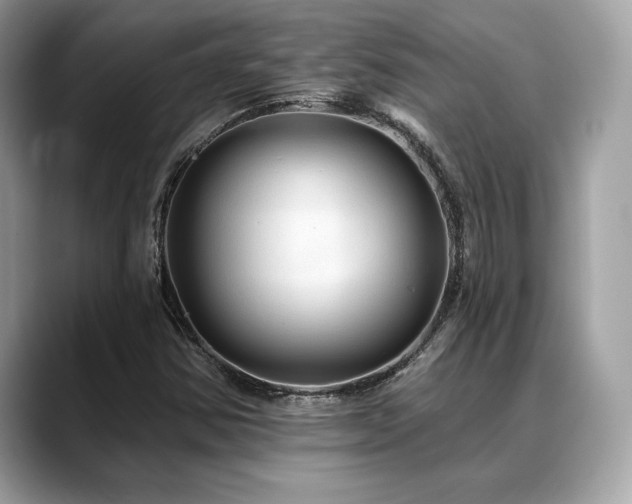 X0000088691354200705311149