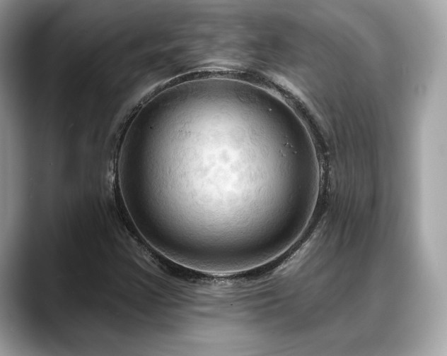 X0000088691355200705311149