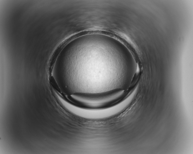 X0000088691356200705311149
