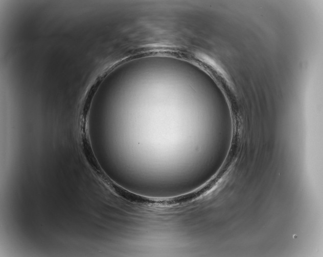 X0000088691357200705311149