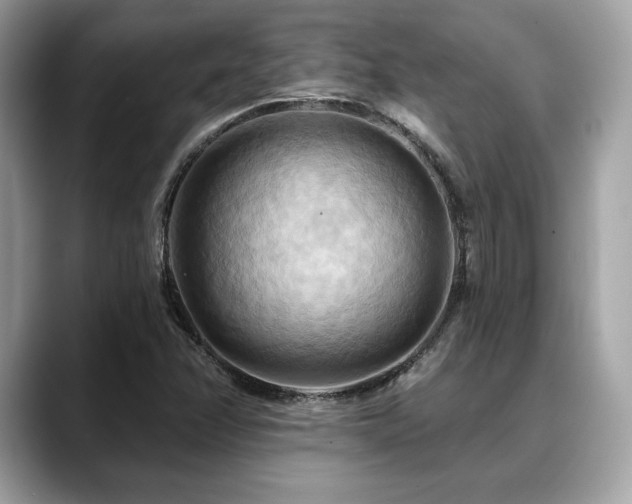 X0000088691358200705311149