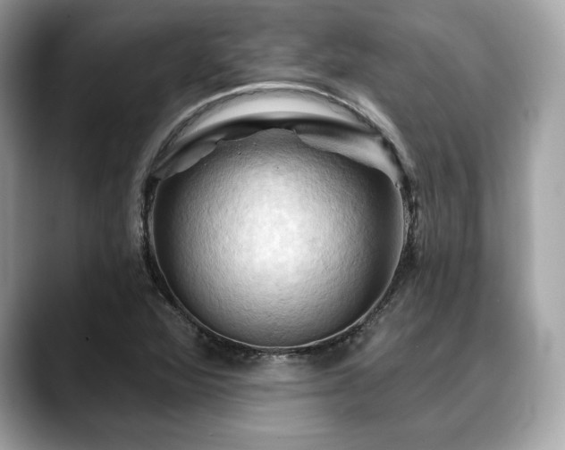 X0000088691360200705311149