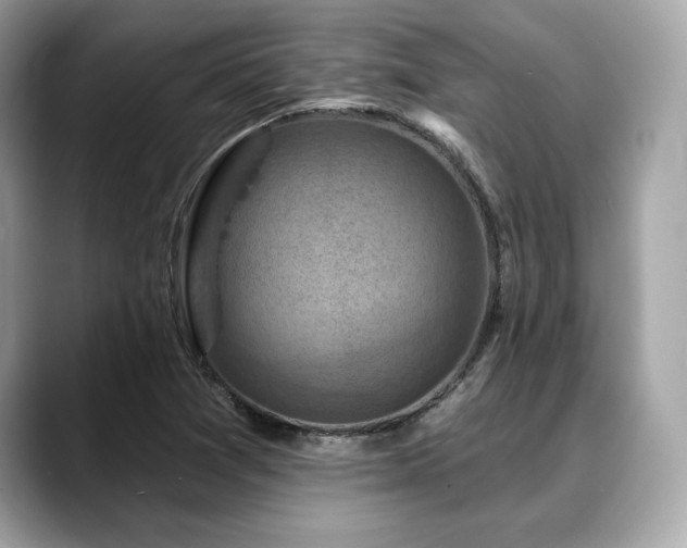 X0000088691361200705311149